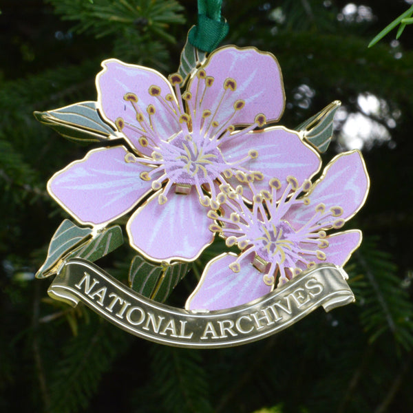 Cherry Blossom T-Shirt – National Archives Store