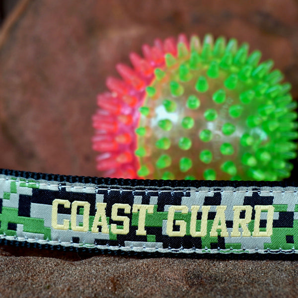 Coast guard 2024 dog collar