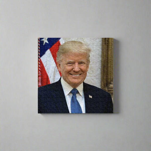 Donald Trump White House Photo Canvas Print
