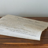 Bill of Rights Small Size Replica