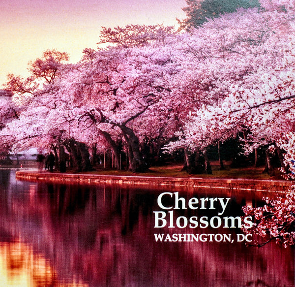 National Cherry Blossom Festival Lover Washington DC Shirt - Teeholly